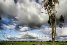 FB体育在线-亚平宁惊雷炸裂NBA版图！湖人战略遭意大利黄金一代狙击