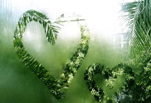 -暗流涌动！步行者更衣室深夜亮灯，战术板惊现“X计划”