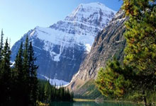 FB体育官网-中国完胜罗马，佩德里高光表现