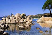 FBsports-孤星陨落VS新王崛起：当C罗遭遇掘金式碾压，亚洲杯暗流撕裂旧秩序