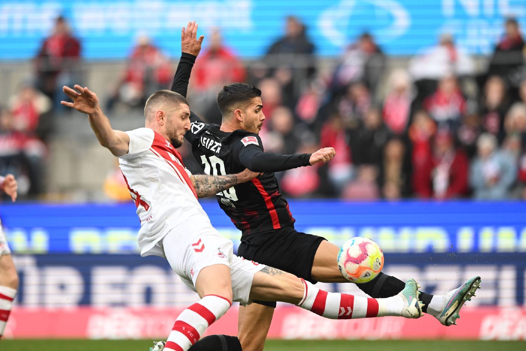 FB体育在线-赫尔城主场惨败，劣势越发明显的简单介绍