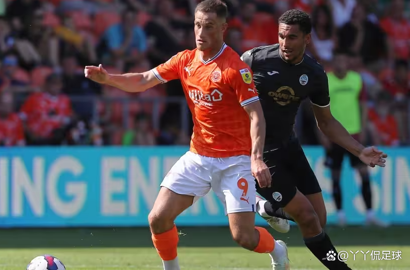 斯旺西队表现抢眼,获得胜利 斯旺西队表现抢眼,获得胜利