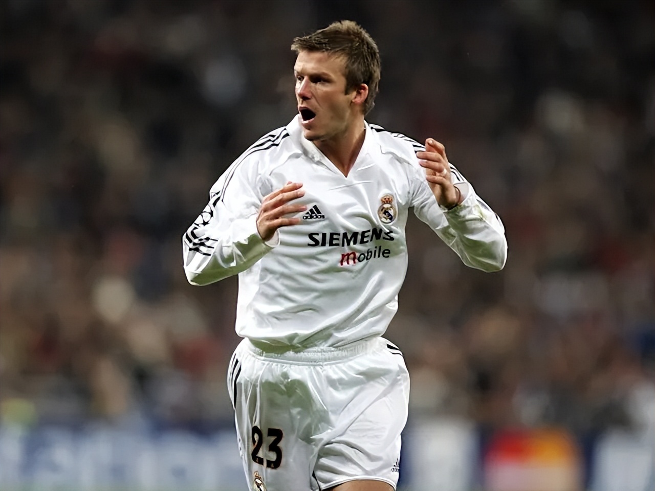 皇家社会的新秀球员崭露头角,成为球队亮点 皇家社会的新秀球员崭露头角,成为球队亮点