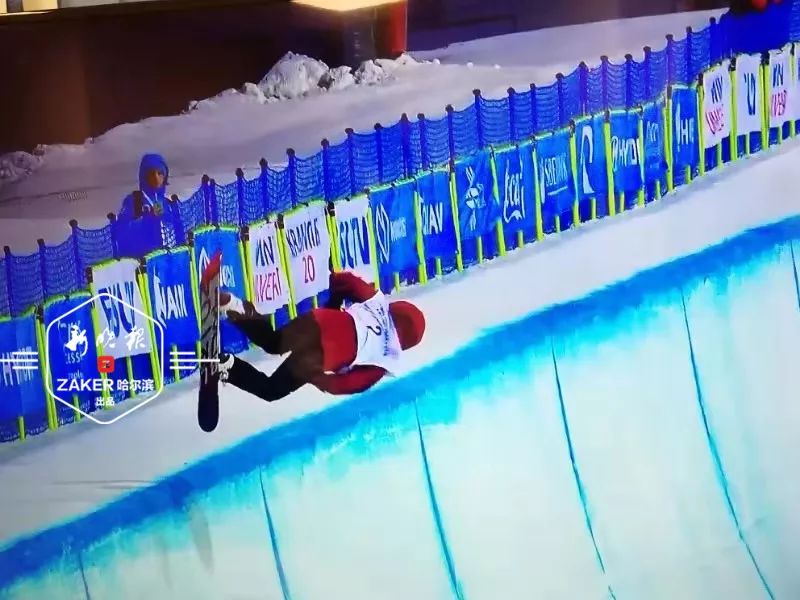 北美代表表现出色,斩获银牌 北美代表表现出色,斩获银牌